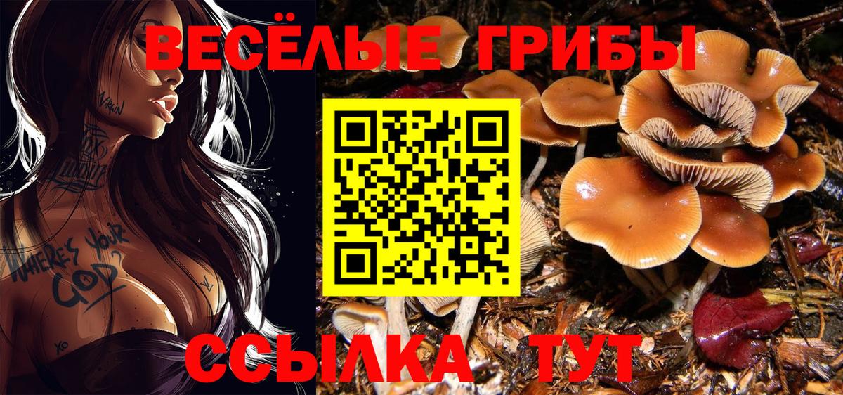 Галлюциногенные грибы Magic Shrooms Ялта